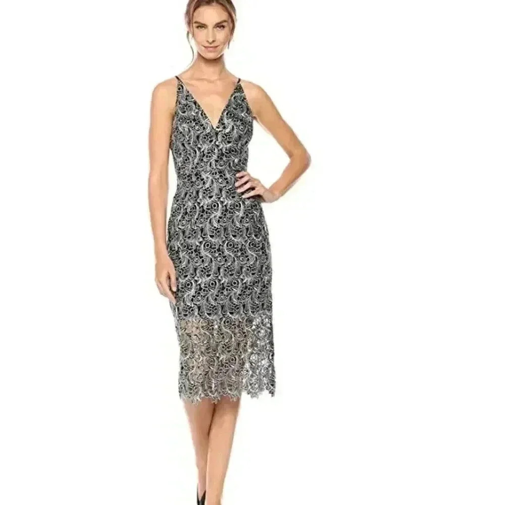 Dress the Population  Aurora Lace Plunging dress